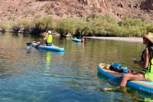 Willow Beach: Stand up paddle board uthyrning nära Las Vegas