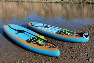 Willow Beach: stand up paddle board lesson