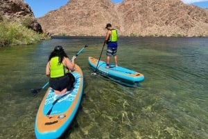 Willow Beach: stand up paddle board lesson