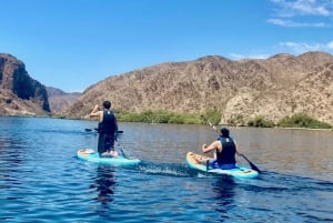 Willow Beach: lezione di stand up paddle board