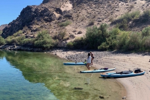 Alquiler de tablas de paddle surf en Willow Beach