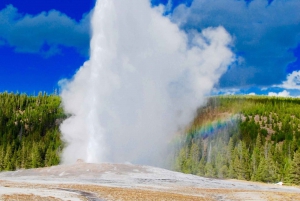 Yellowstone 5-Tage-Tour Vegas Abreise endet in Salt Lake City