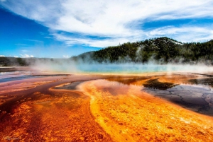 Yellowstone&Grand Teton kansallispuisto 5 päivän kiertomatka SLC:stä käsin