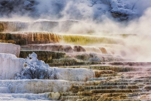 Von Salt Lake City aus: Yellowstone & Grand Teton 5-Tages-Tour