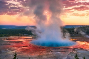 Fra Salt Lake City: Yellowstone & Grand Teton 5-dages tur