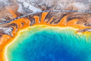 Vanuit Salt Lake City: Yellowstone & Grand Teton 5-daagse tour