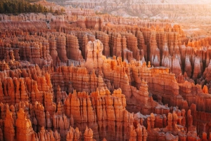 Zion&Bryce Canyon,Antelope Canyon 2 päivän retki Las Vegasista käsin