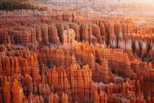 Zion&Bryce Canyon,Antelope Canyon 3-Tages-Tour ab Las Vegas