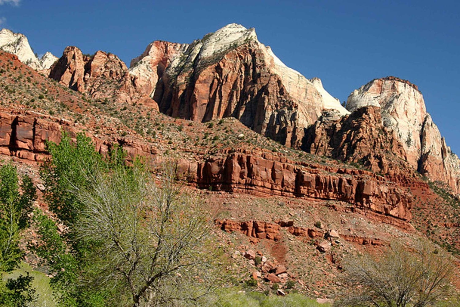 Однодневная поездка в национальный парк Зайон из Лас-Вегаса