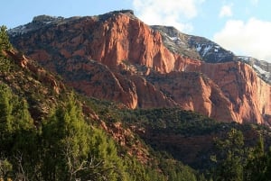 Однодневная поездка в национальный парк Зайон из Лас-Вегаса