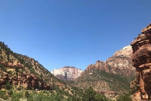 Однодневная поездка в национальный парк Зайон из Лас-Вегаса