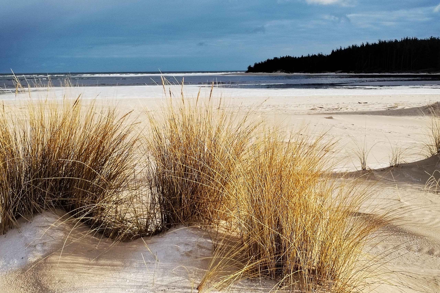 Lintujen tarkkailuretki Riian lähellä olevassa luonnonpuistossa (Latvia)