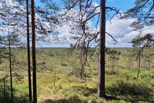 Lintujen tarkkailuretki Riian lähellä olevassa luonnonpuistossa (Latvia)