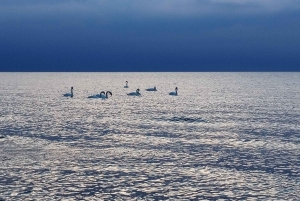 Lintujen tarkkailuretki Riian lähellä olevassa luonnonpuistossa (Latvia)