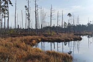 Lintujen tarkkailuretki Riian lähellä olevassa luonnonpuistossa (Latvia)