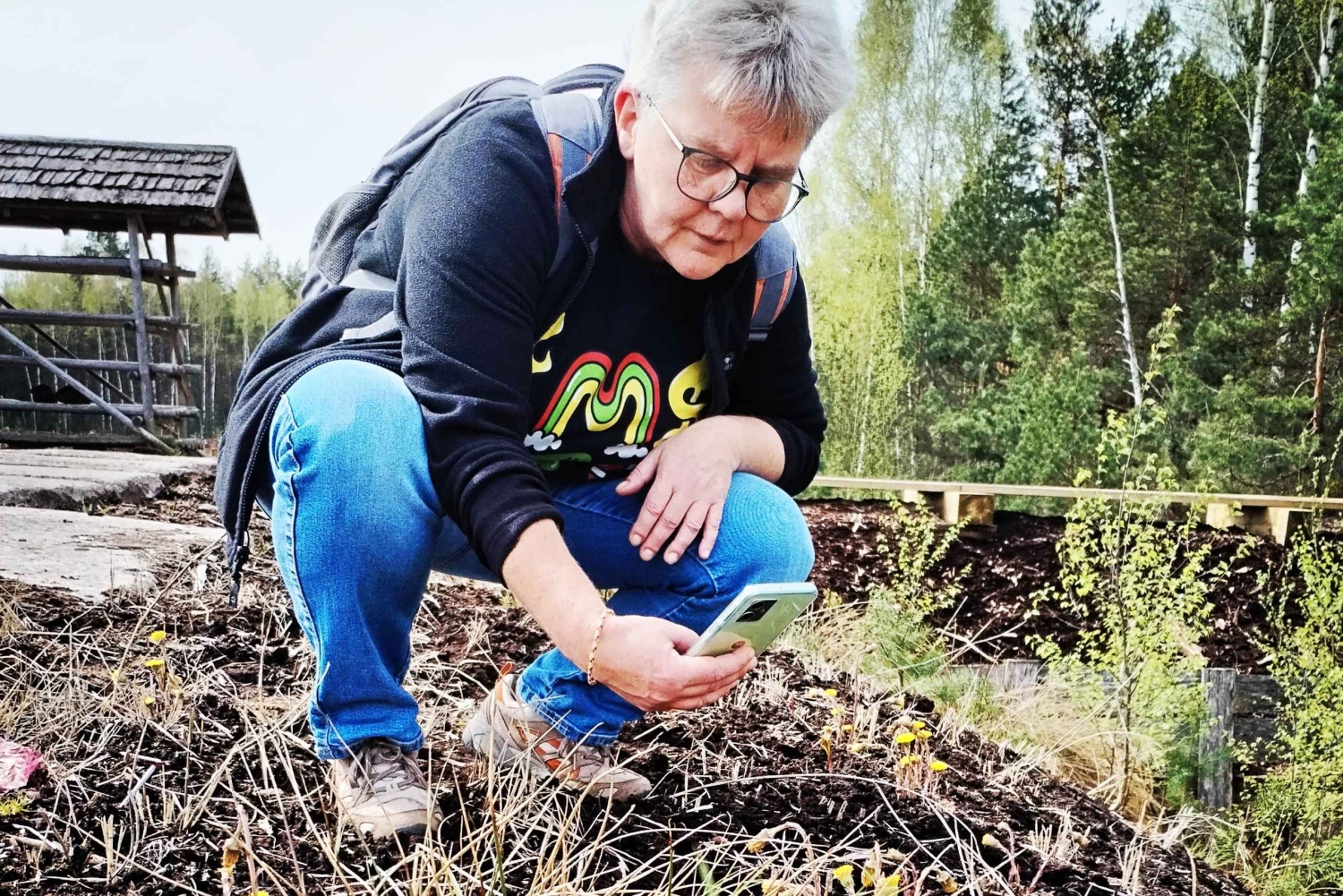 Il sentiero della torbiera di Cenas vicino a Riga per gli amanti della natura