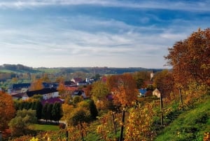 Private Tour Medieval Gems of Kuldīga, Sabile and Kandava