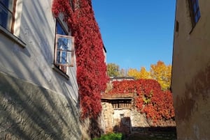 Private Tour Medieval Gems of Kuldīga, Sabile and Kandava