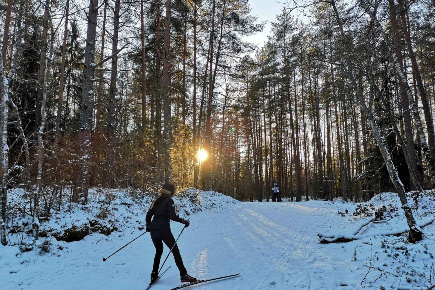 Cross-Country-Skiing-through-Pristine-Forests