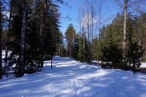 From Riga: Cross-country skiing and beating heart memorial