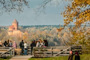 Day Trip To Gauja National Park: Animals, and Castles