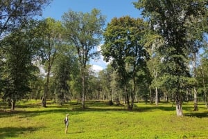Fra Riga: Heldagstur til Siguida og Gauja Nationalpark