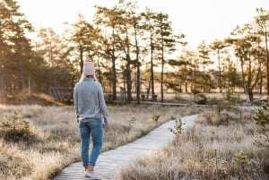 Ontdek de Baltische staten: Riga - Tallinn / Dagtocht Tallinn - Riga