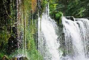 Ontdek de Baltische staten: Riga - Tallinn / Dagtocht Tallinn - Riga