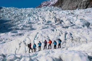 Fox Glacier: Até 3 horas de caminhada com transfer de helicóptero