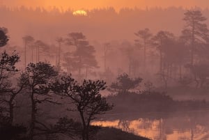 Riga: Bog-Shoe Tour in Ķemeri National Park with a Picnic