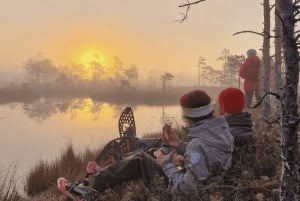 Riga: Bog-Shoe Tour in Ķemeri National Park with a Picnic