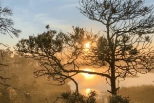 Riga: Bog-Shoe Tour in Ķemeri National Park with a Picnic