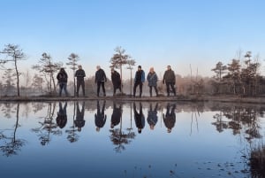 Riga: Bog-Shoe Tour in Ķemeri National Park with a Picnic