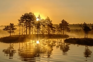 Riga: Bog-Shoe Tour in Ķemeri National Park with a Picnic