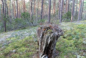 From Riga: Budget Day Trip to Kolka in Zen style!