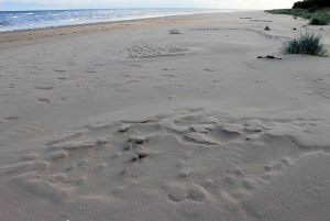 Da Riga: gita di un giorno a Kolka in stile zen!