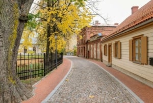 Vanuit Riga: Cēsis, Sigulda & kasteel Turaida