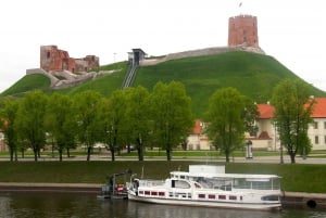 Vanuit Riga: Dagtrip naar Vilnius (Twee landen in één dag)