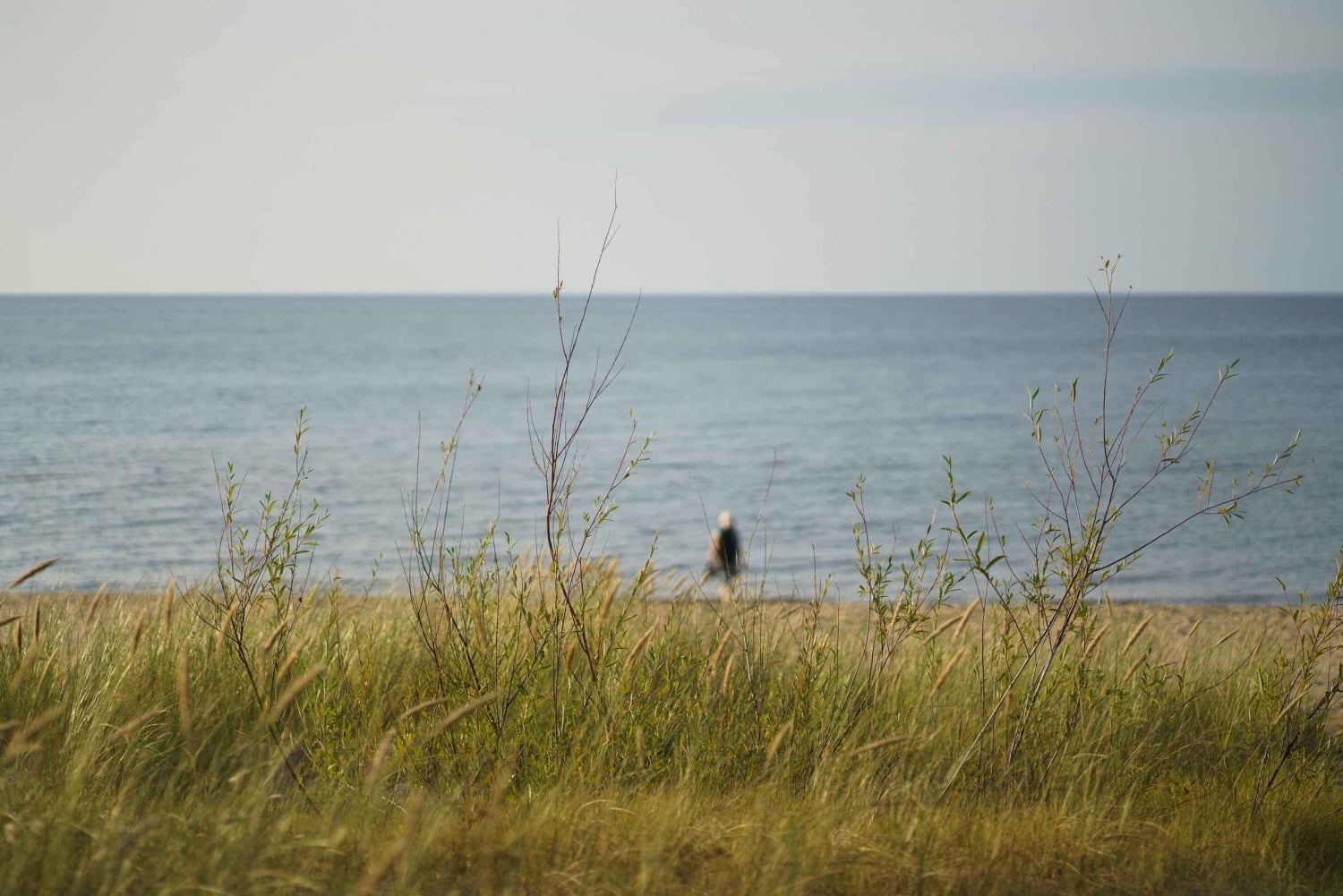 Från Riga: Utforska lettisk natur med en lokal fotograf