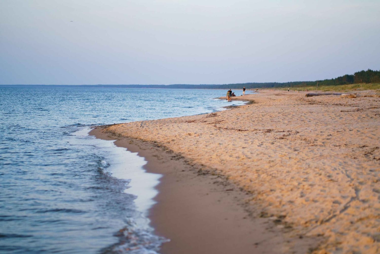 Från Riga: Utforska lettisk natur med en lokal fotograf