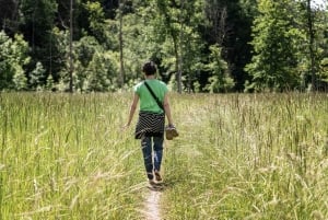 Från Riga: Utforska lettisk natur med en lokal fotograf