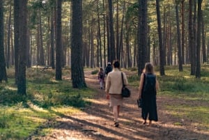 Från Riga: Utforska lettisk natur med en lokal fotograf