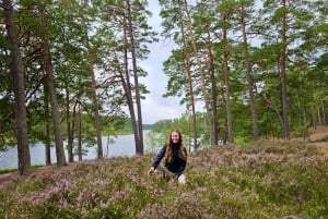 Von Riga aus: Vier natürliche Ökosysteme auf einer Wanderung