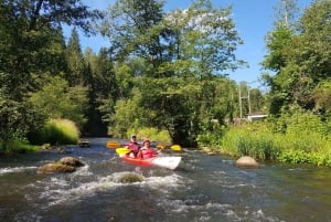 From Riga: Full-Day Scenic Gauja River Valley Kayaking Trip