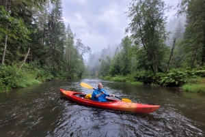 Desde Riga: Excursión de un día entero en kayak por el pintoresco valle del río Gauja