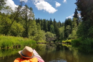 Desde Riga: Excursión de un día entero en kayak por el pintoresco valle del río Gauja