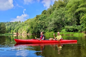 Desde Riga: Excursión de un día entero en kayak por el pintoresco valle del río Gauja