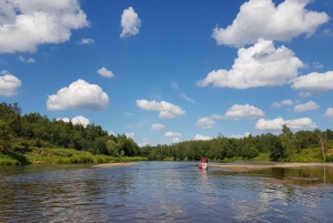 Desde Riga: Excursión de un día entero en kayak por el pintoresco valle del río Gauja