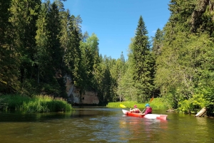 Desde Riga: Excursión de un día entero en kayak por el pintoresco valle del río Gauja