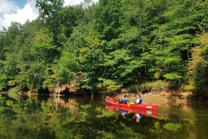 Desde Riga: Excursión de un día entero en kayak por el pintoresco valle del río Gauja